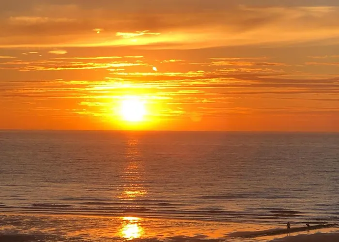 Op De Zeedijk In - Aldis 0320 Apartamento Ostende