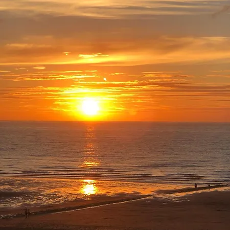 Op De Zeedijk In - Aldis 0320 Appartement Ostende