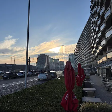 Appartement Op De Zeedijk In - Aldis 0320