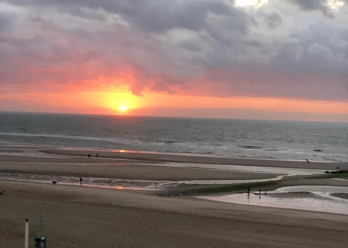 Op De Zeedijk In - Aldis 0320 * Ostende